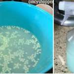 DIY Αρωματικό για να μυρίζει το σπίτι σας υπέροχα DIY Αρωματικό